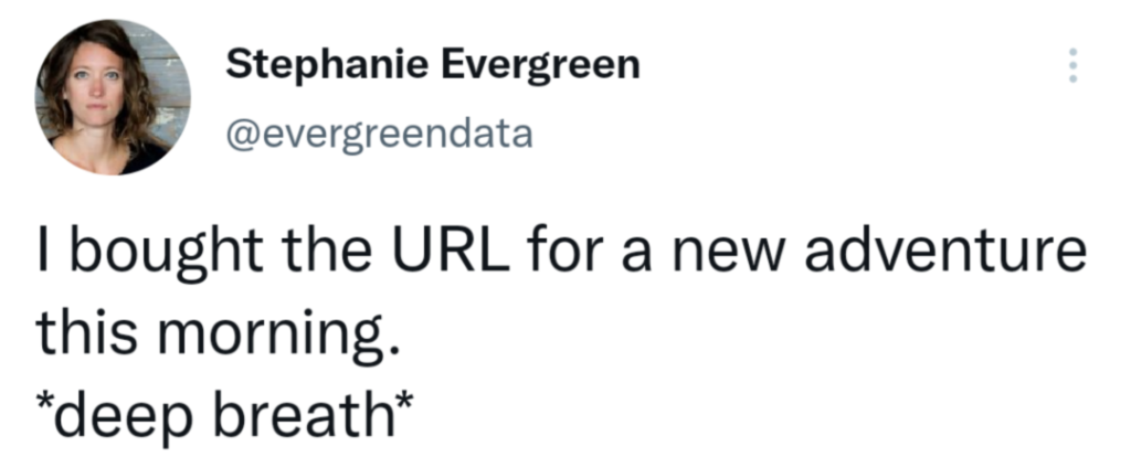 Screenshot of tweet where I say "I bought the URL for a new adventure this morning. *deep breath*"