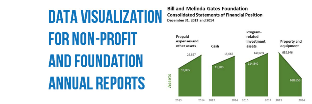 Data Visualization for Non-Profit & Foundation Annual Reports